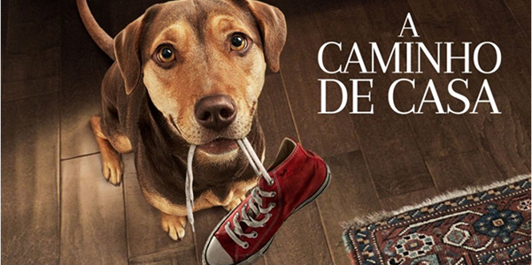 conteudos-a caminho de casa