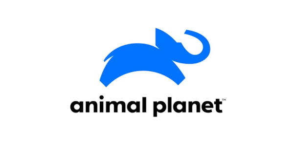 conteudos-animal planet